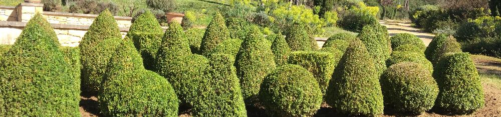 Jardin à la française avec topiaires sculptés en Dordogne, réalisé par Berthelot Paysagistes