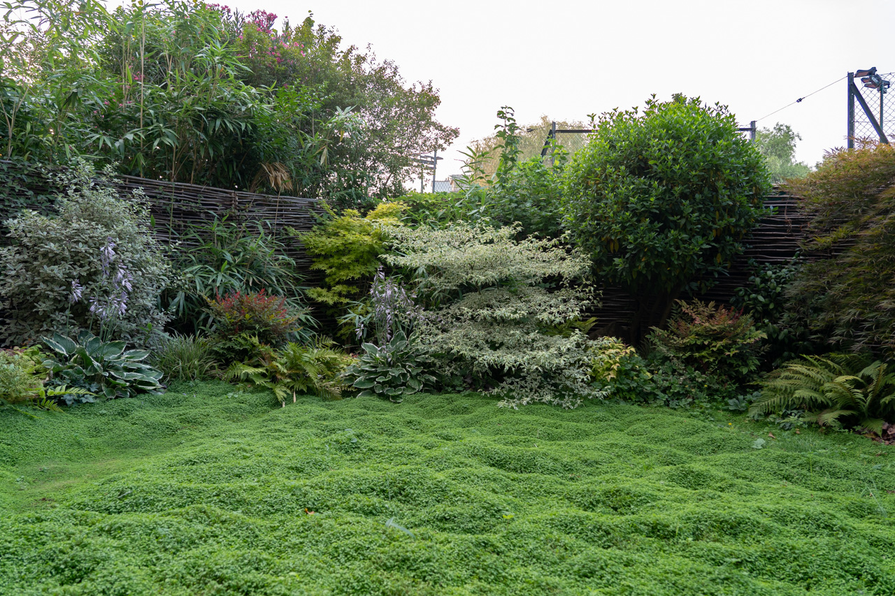 Jardin en pente couvert de couvre-sol