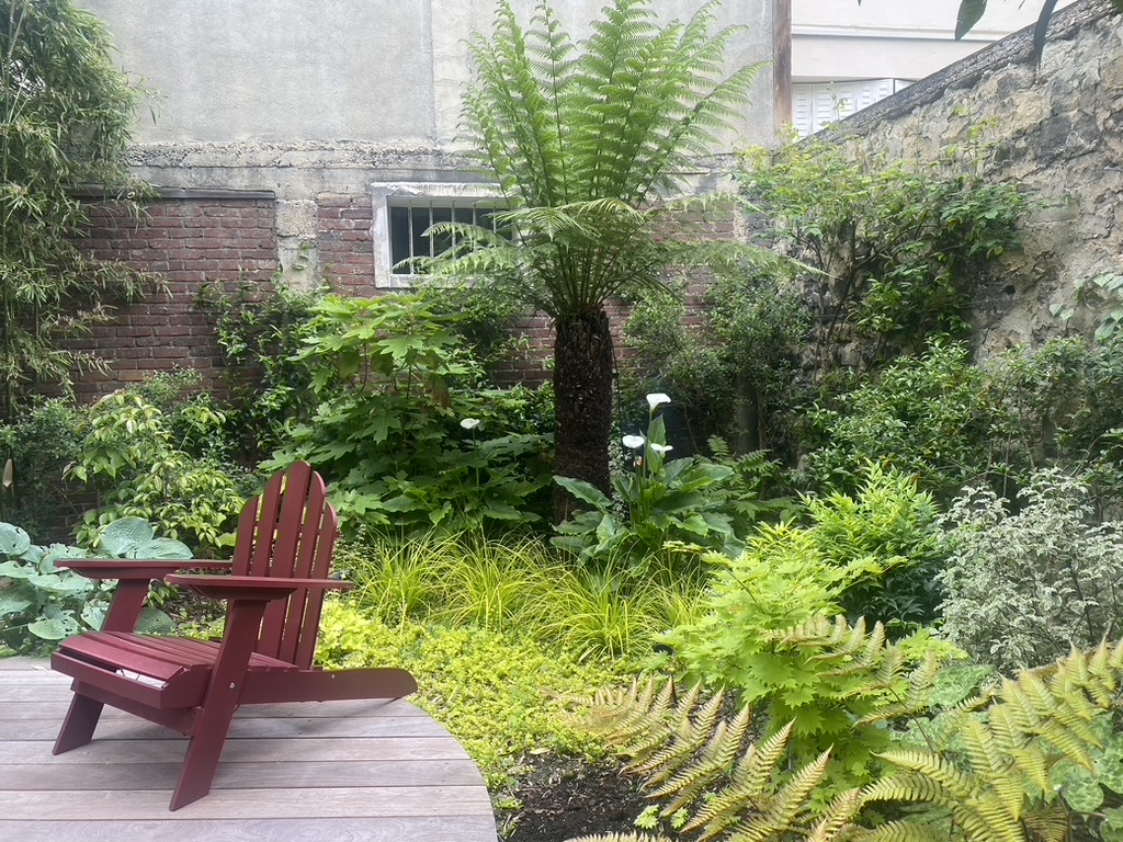 Patio planté d'une fougère arborescente