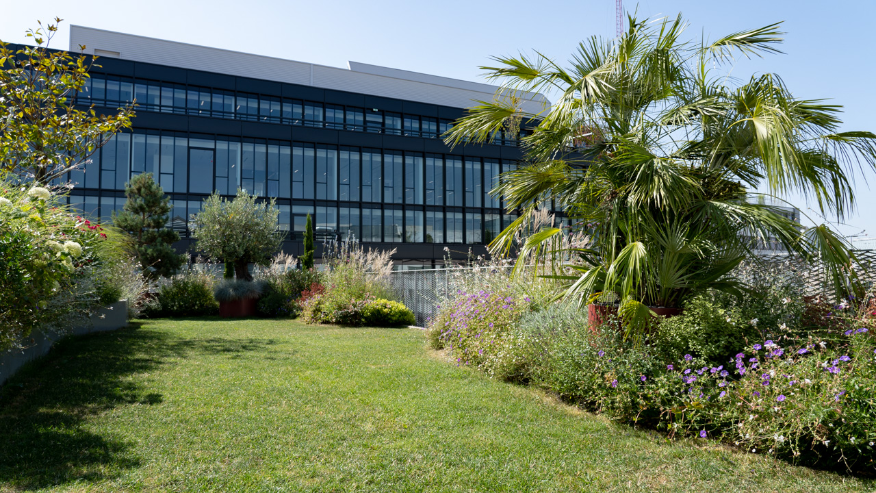 Jardin de toiture d'un siège social