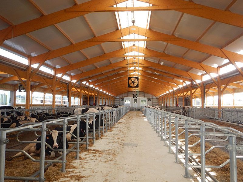 Stabulation agricole avec charpente bois construite par Moreau