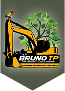 Logo Des Racines aux Feuilles, Bruno TP