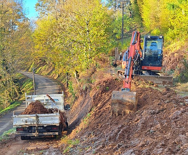 Élargissement d'une voie de chemin en lisière de forêt