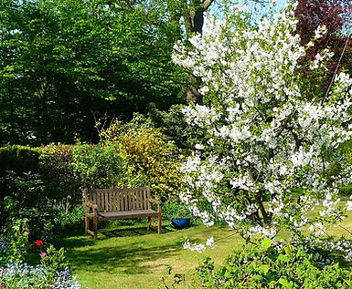 Jardin paysager fleuri avec banc et arbre en fleurs