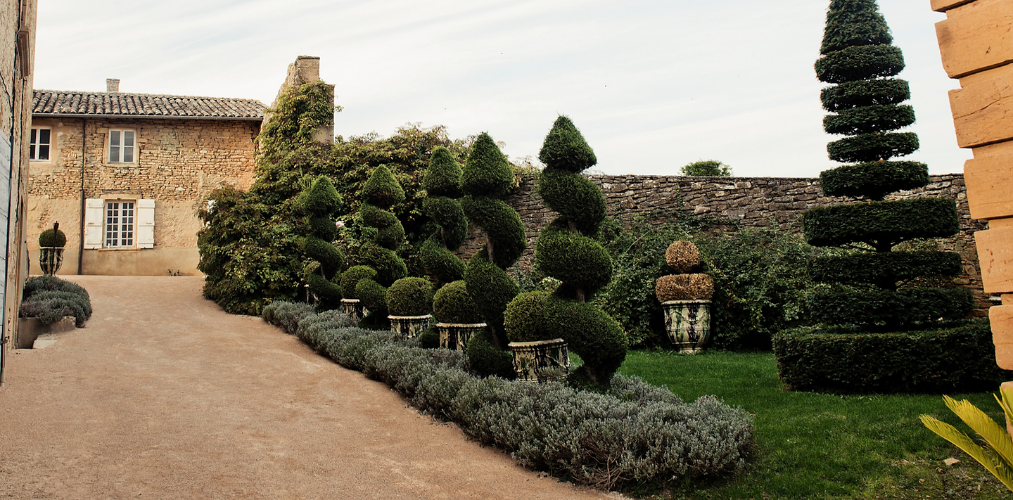 Les jardins tailles le long du mur en pierres dorees