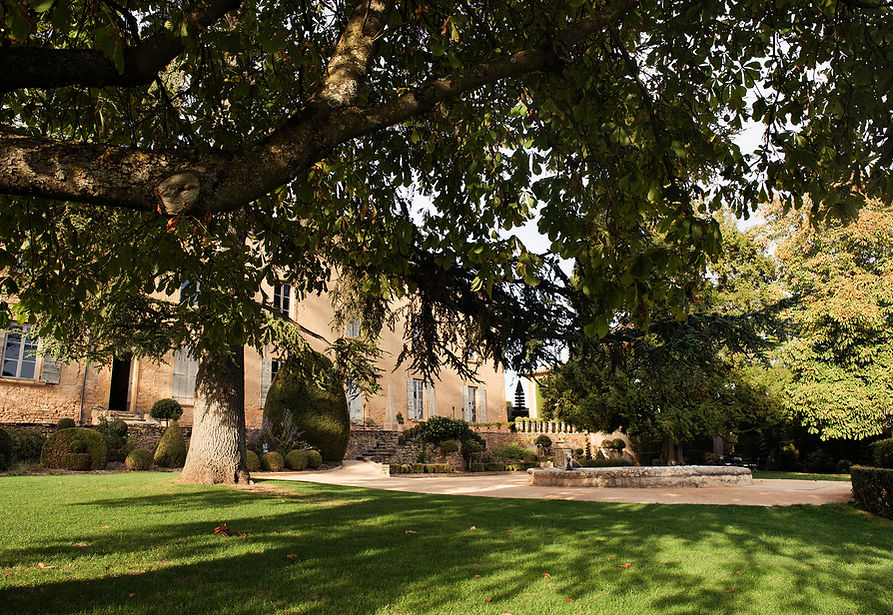 Le manoir sous le grand arbre, la pelouse et la fontaine