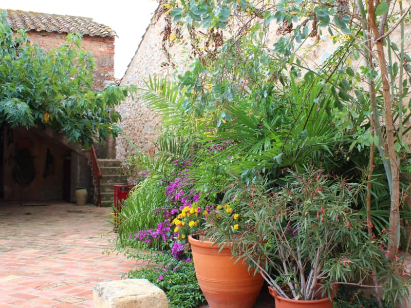 Patio fleuri du domaine, jarres et bougainvilliers