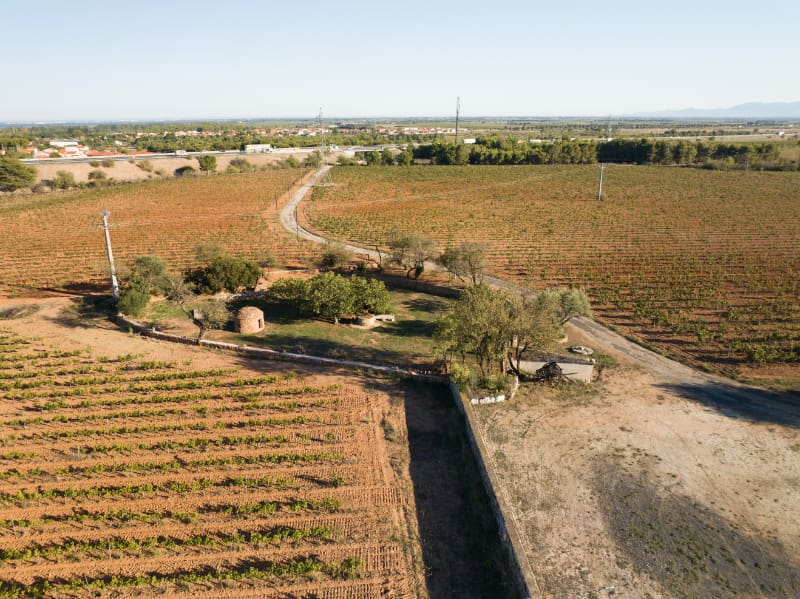 Vue aérienne des vignes et du mas de la Bergerie de Salses