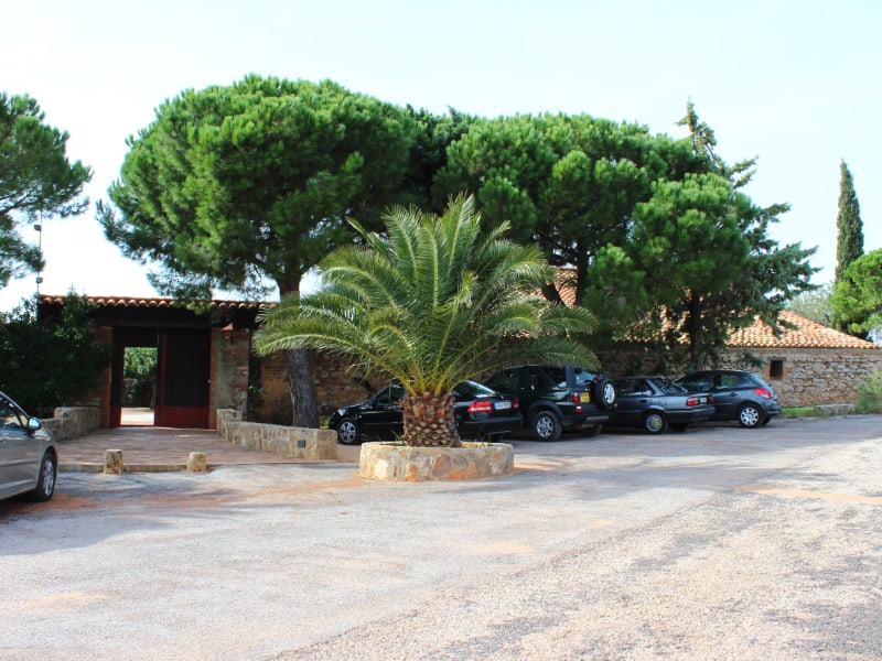 Entrée du domaine, mur de pierre et pins parasols