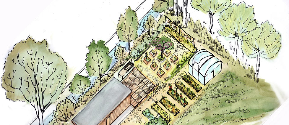 Vue aquarellée du jardin en permaculture de La K7 : potager, serre et arbres