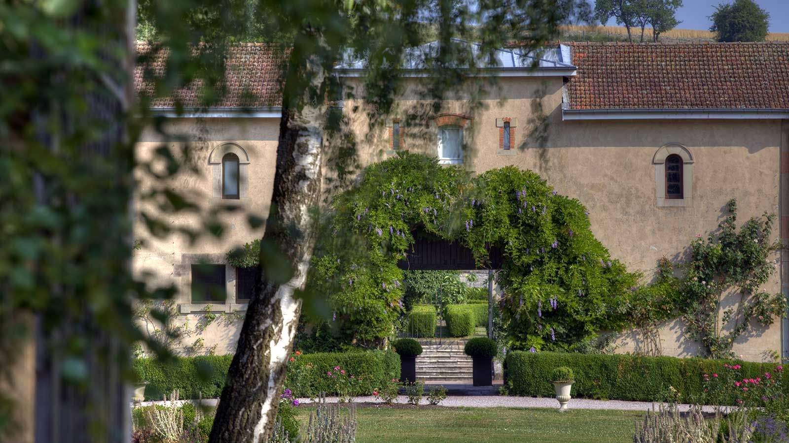 Allée du parc d'Adoménil menant à une arche de glycine devant le château, à la tombée du jour