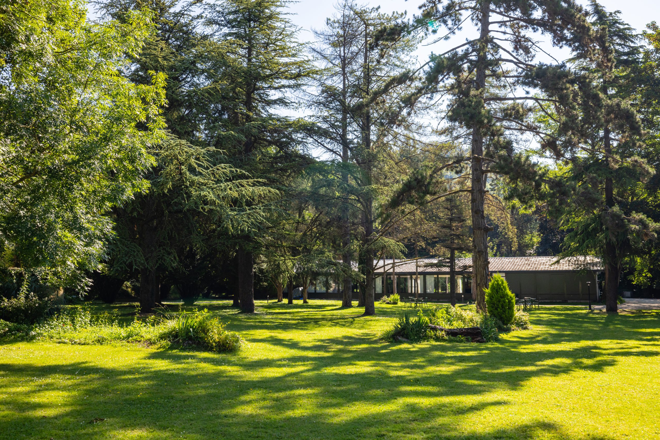 Le parc du domaine, grands cèdres et pins, vastes pelouses et pavillon en arrière-plan