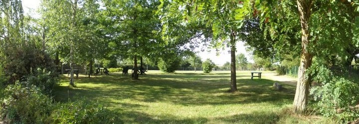 Prairie ombragée du Parc de la Mauny, grands arbres, herbe verte et tables de pique-nique en bois.