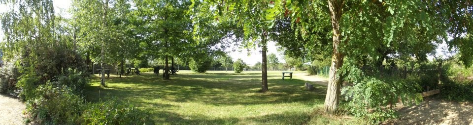 Vue panoramique de la prairie du Parc de la Mauny, arbres et pelouse verte baignée de lumière.