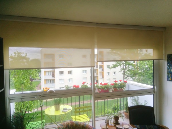 Salon parisien avec fenetres et stores poses par SARL Silvestri, balcon fleuri